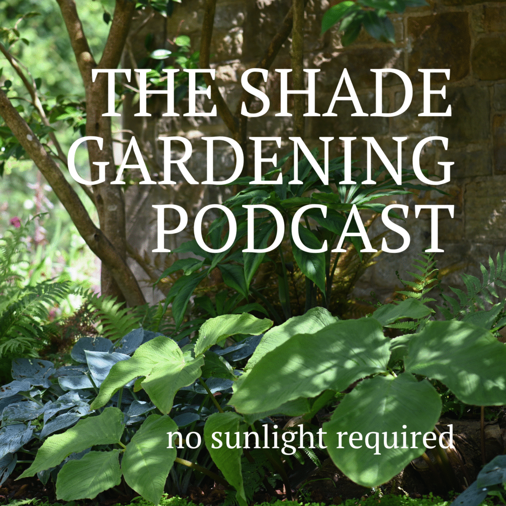 The Shade Gardening podcast logo