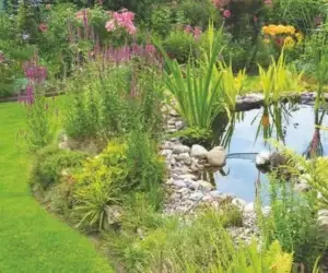 Garden pond