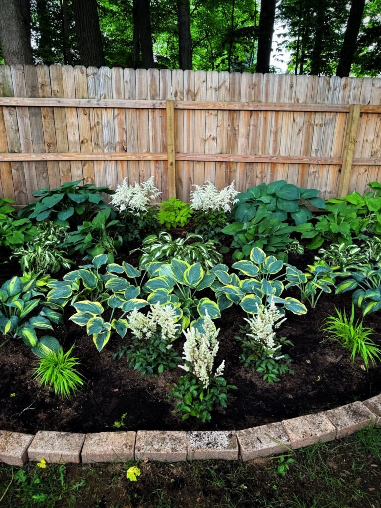 mixed border with hostas
