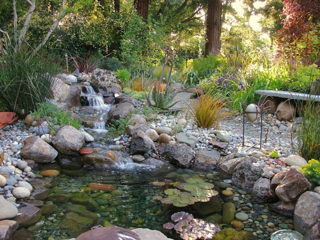 Garden pond in shade