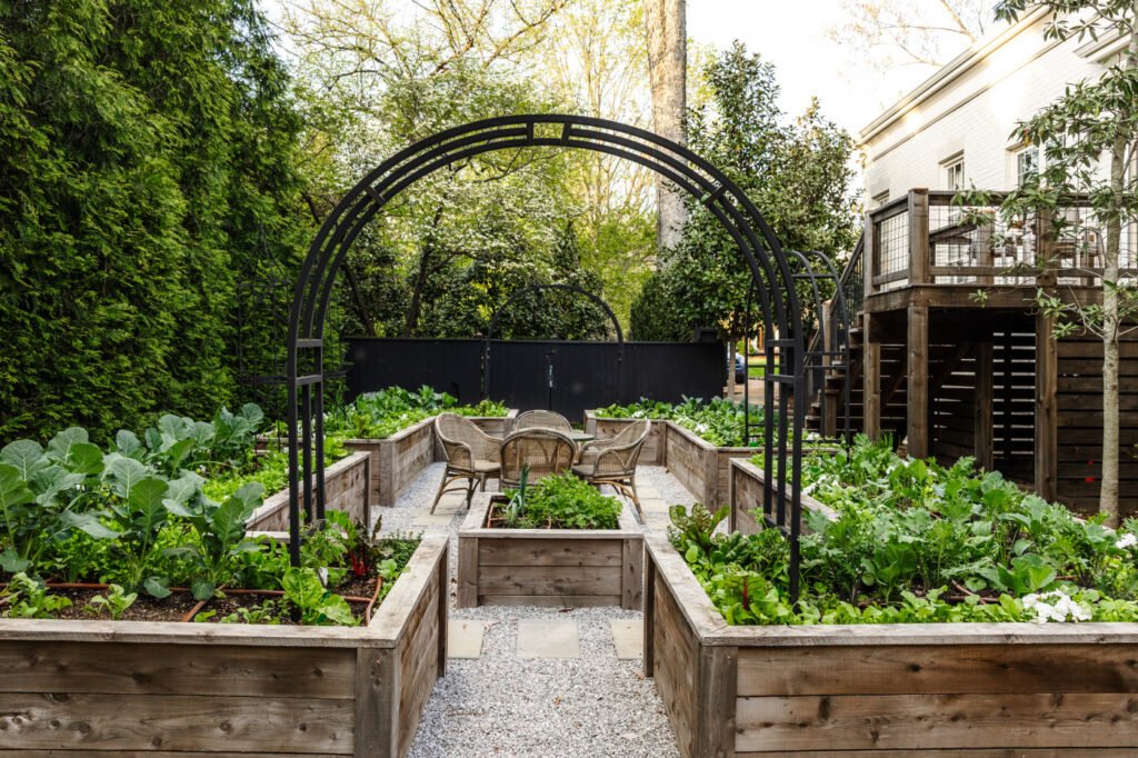 Lovely looking raised beds
