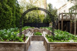 Lovely looking raised beds